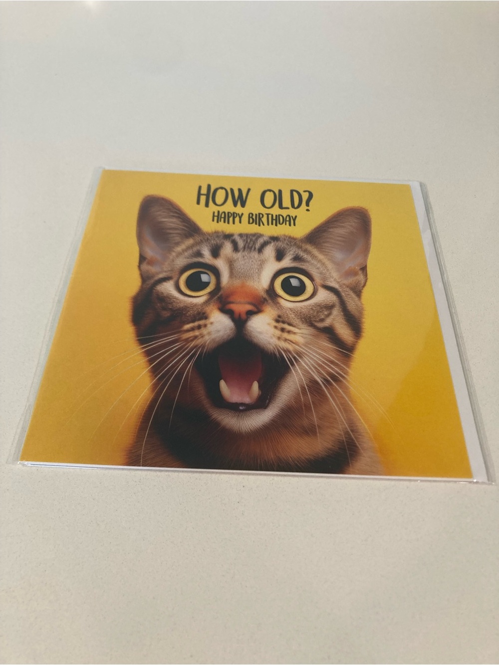 Cat Lover Funny Birthday Card